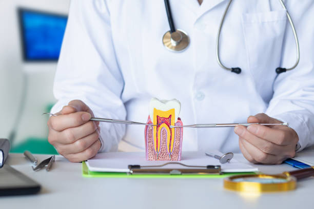 Best Dental Abscess Treatment in Baywood Park, CA